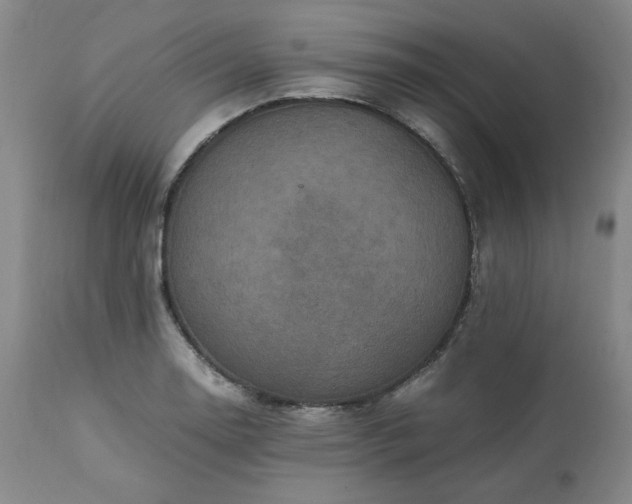 X0000113221130200909241442