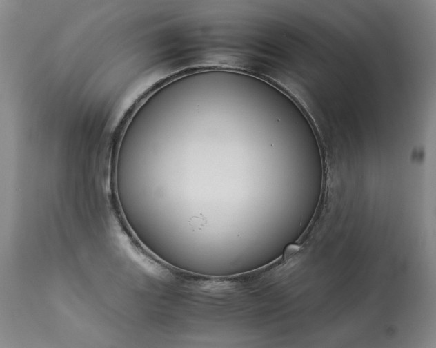 X0000113221131200909241442