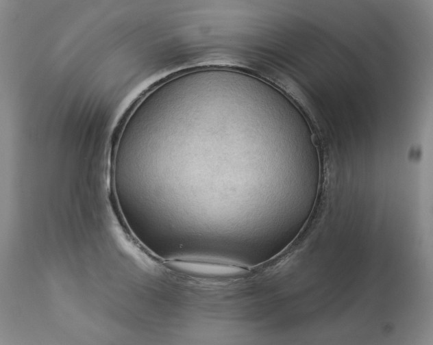 X0000113221132200909241442