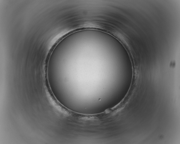 X0000113221133200909241442