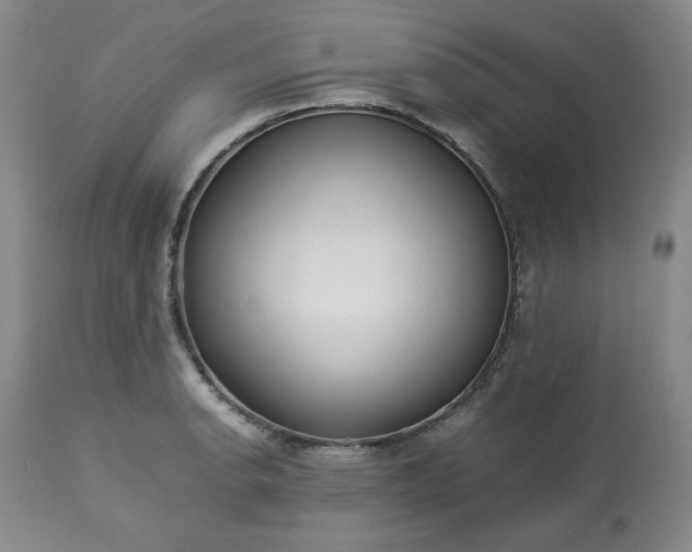 X0000113221134200909241442