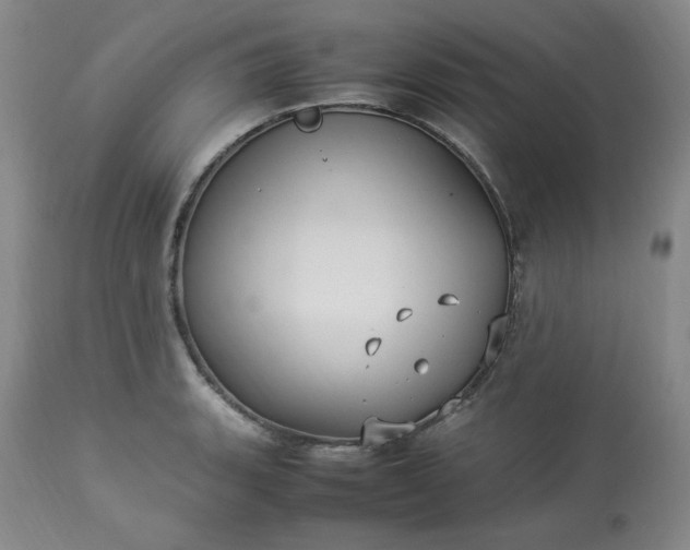 X0000113221135200909241442