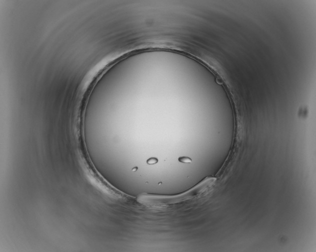 X0000113221136200909241442