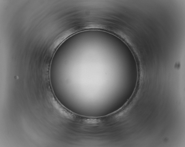 X0000113221137200909241442