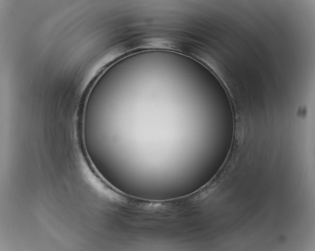 X0000113221139200909241442