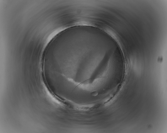 X0000113221141200909241442