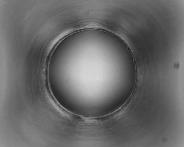 X0000113221142200909241442