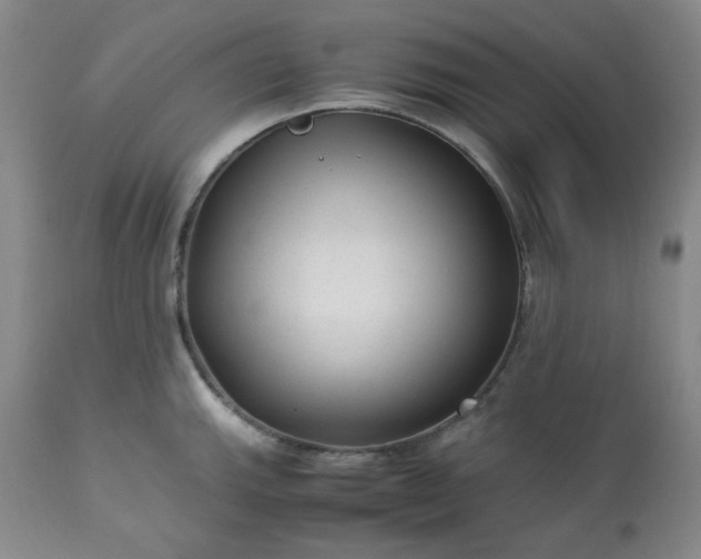 X0000113221143200909241442