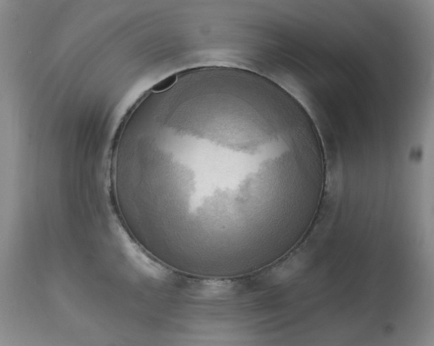 X0000113221144200909241442