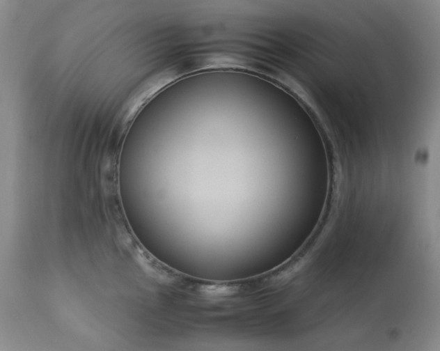 X0000113221145200909241442