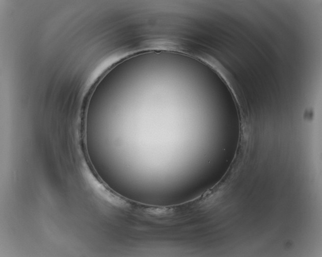 X0000113221147200909241442