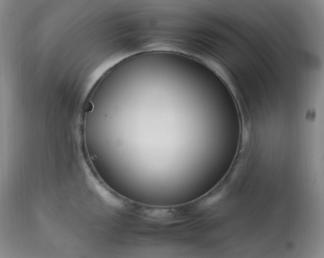 X0000113221149200909241442