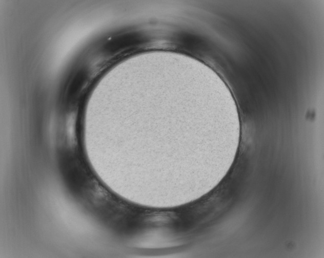 X0000113221150200909241442