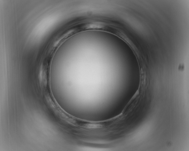 X0000113221151200909241442