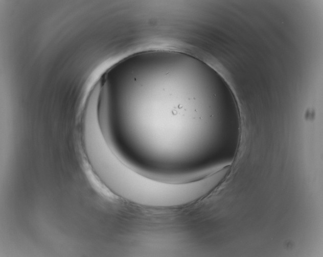 X0000113221152200909241442