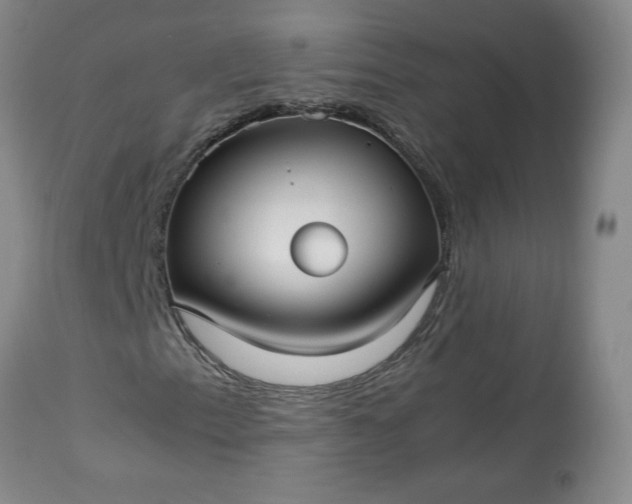 X0000113221153200909241441