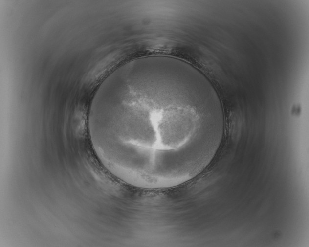 X0000113221154200909241441