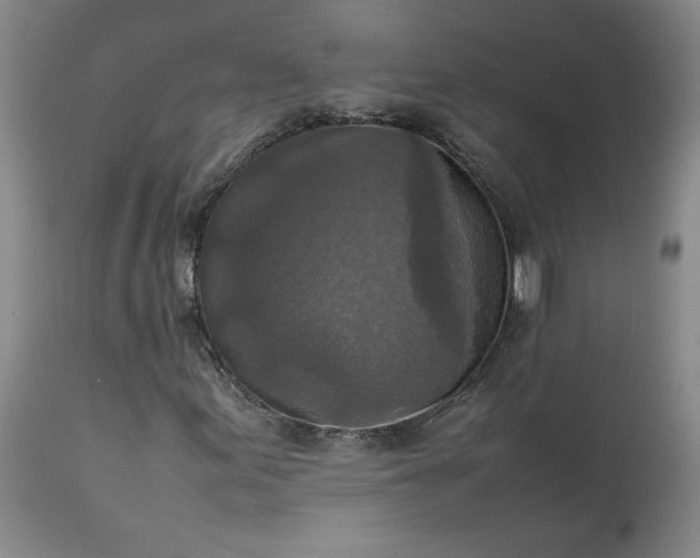 X0000113221155200909241441