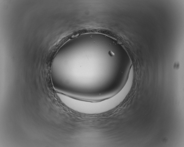 X0000113221157200909241441