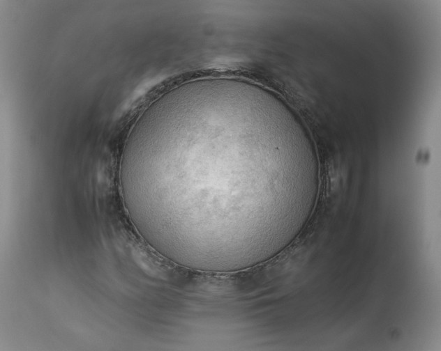 X0000113221158200909241441