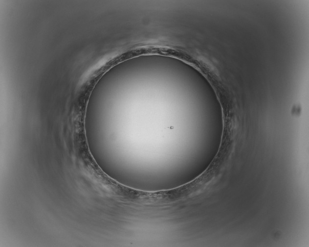 X0000113221159200909241441