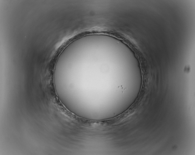 X0000113221160200909241441