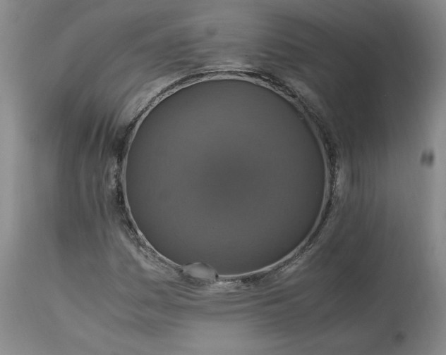 X0000113221161200909241441