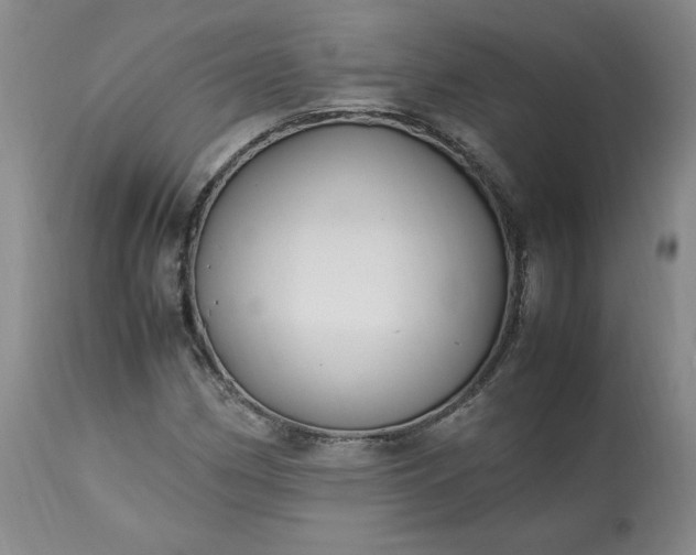 X0000113221162200909241441