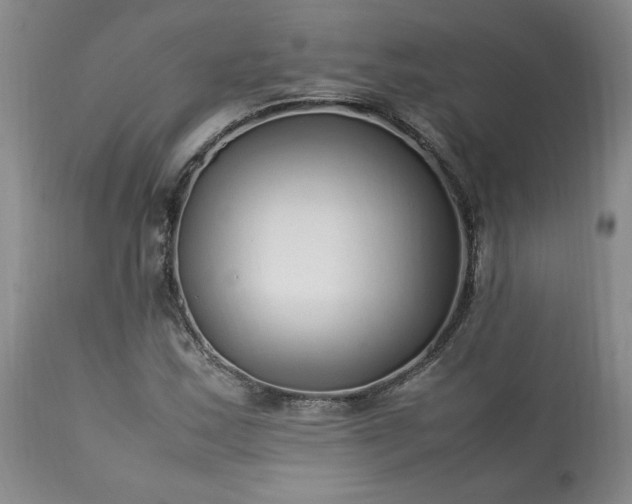 X0000113221163200909241441