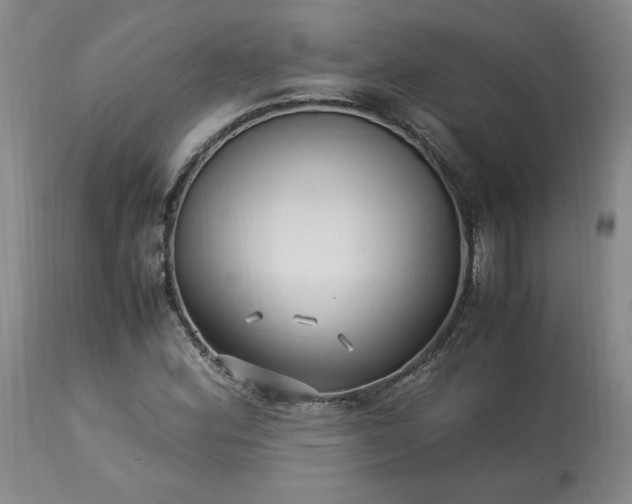 X0000113221164200909241441