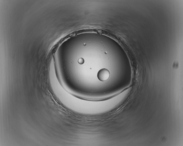 X0000113221165200909241441