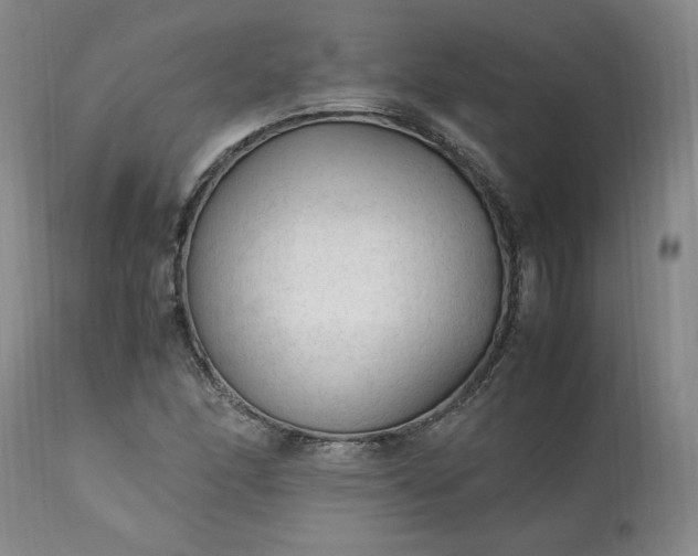 X0000113221166200909241441