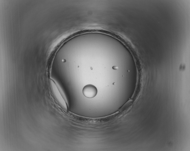 X0000113221167200909241441