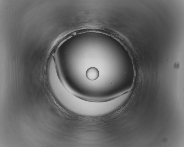 X0000113221168200909241441