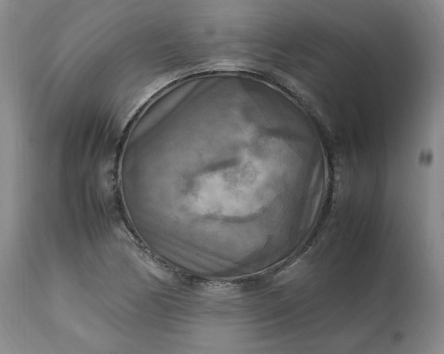 X0000113221170200909241441