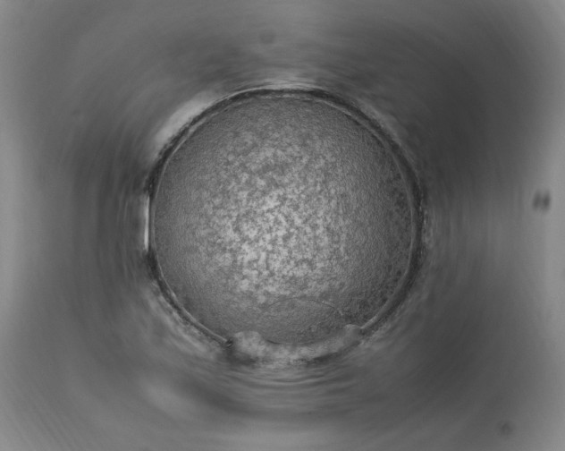 X0000113221171200909241441