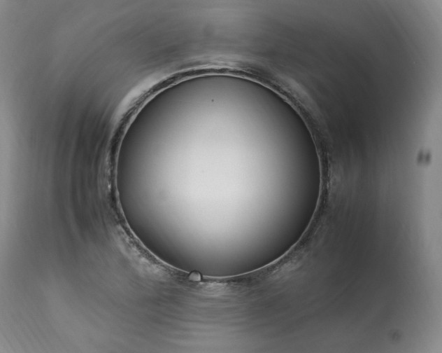 X0000113221172200909241441