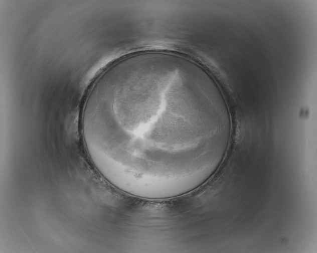 X0000113221174200909241441