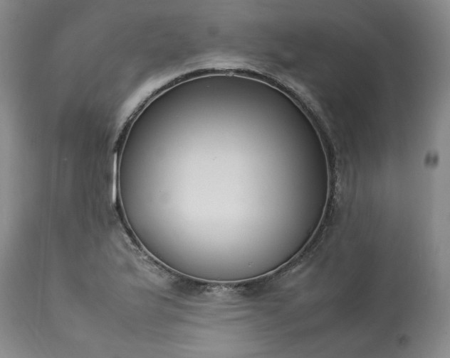 X0000113221175200909241441