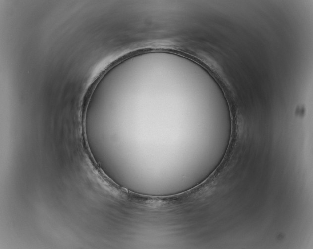 X0000113221176200909241441