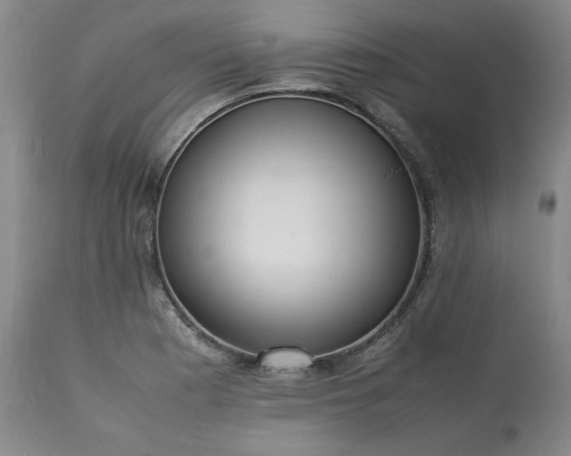 X0000113221177200909241441