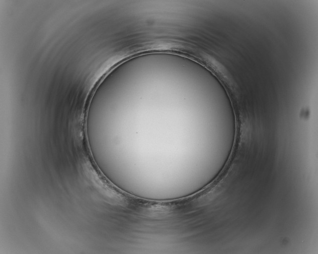 X0000113221178200909241441