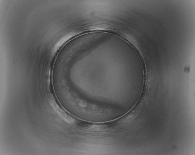 X0000113221179200909241441