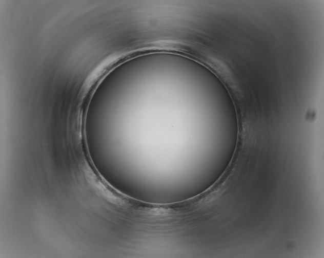 X0000113221180200909241441