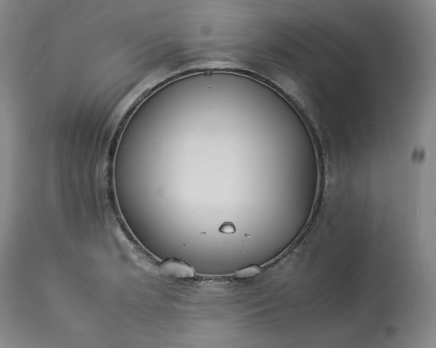 X0000113221181200909241441