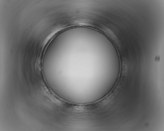 X0000113221182200909241441