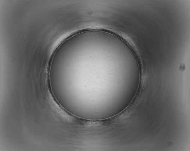 X0000113221183200909241441