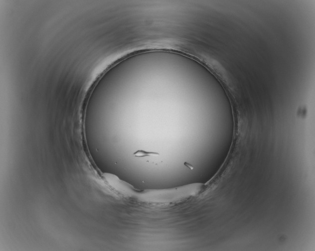 X0000113221184200909241441