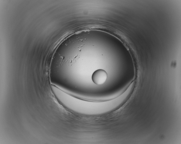 X0000113221185200909241441