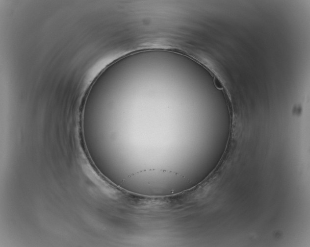 X0000113221187200909241441